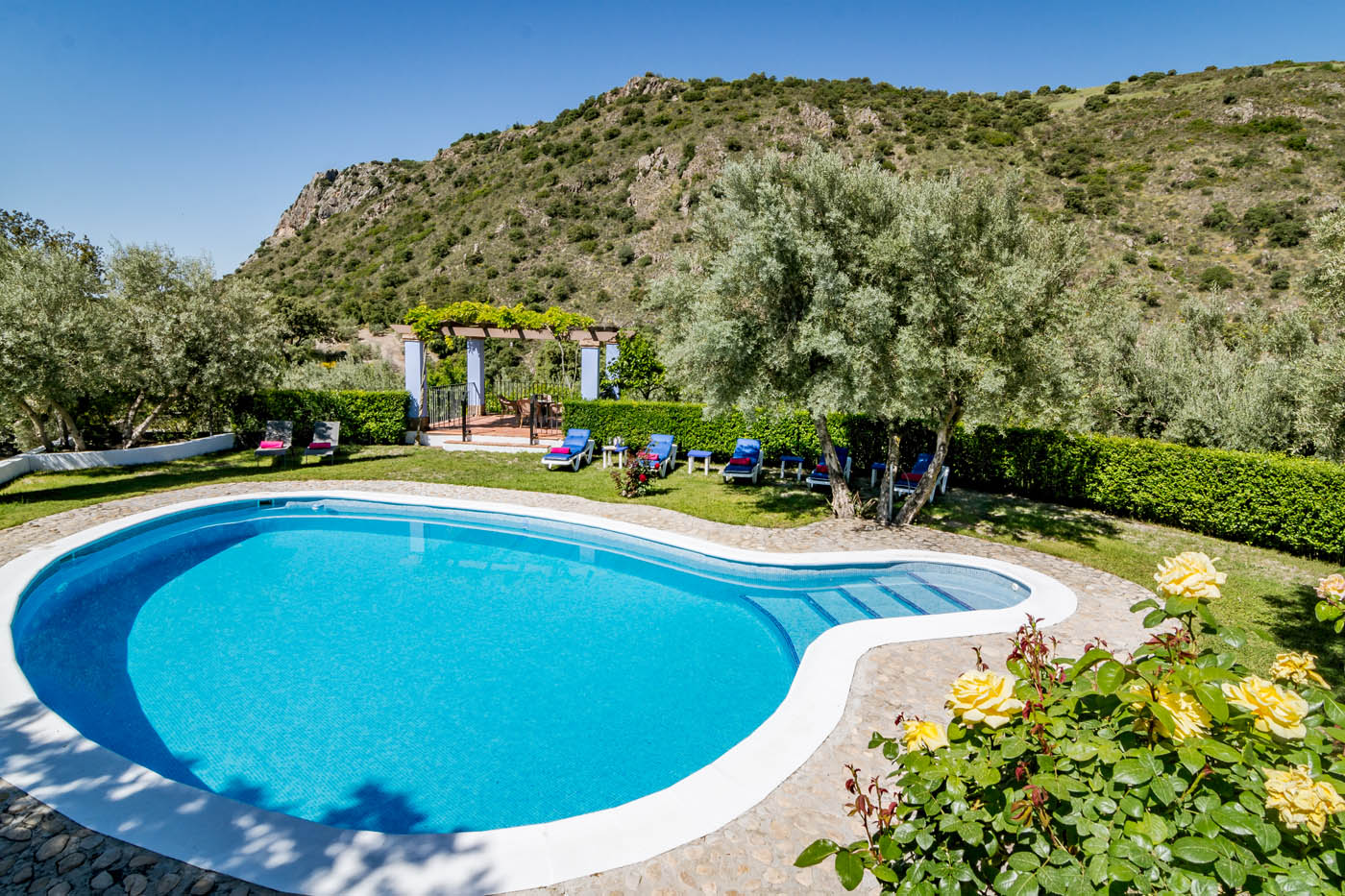 Una piscina privada de 12 metros de largo